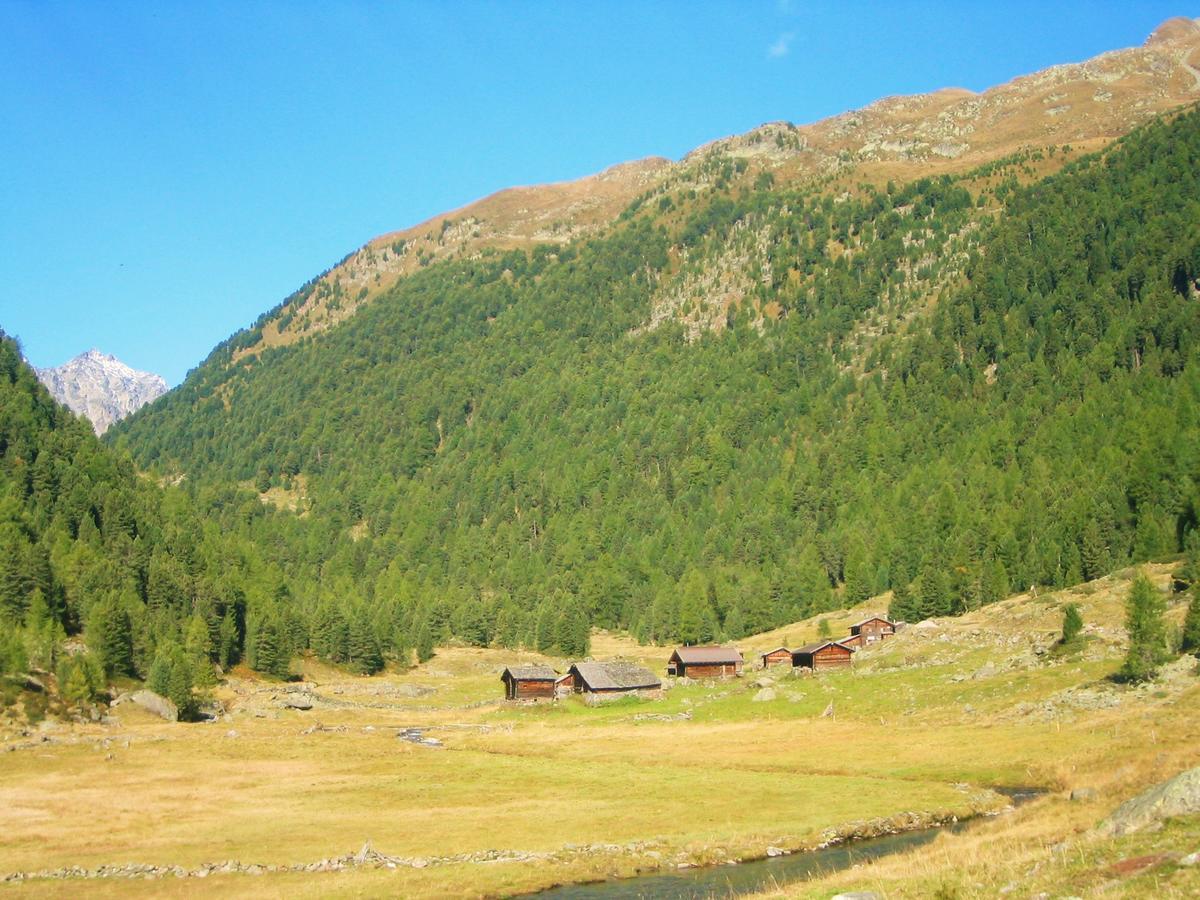 Ledererhof Apartments Санкт Якоб ин Дефереген Екстериор снимка
